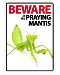 Picture of Beware of the Praying Mantis Sign 