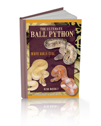 Picture of ECO The Ultimate Ball Python - Morph Maker Guide 