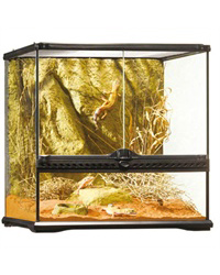 Picture of Exo Terra Glass Terrarium Small Wide 45 x 45 x 45 cm