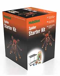 Picture of HabiStat Spider Starter Kit 