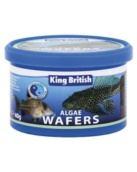 Picture of King British Algae Wafers 40g