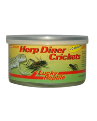 Picture of Lucky Reptile Herp Diner Crickets with Calcium