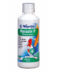 Picture of Waterlife Myxazin P 500ml