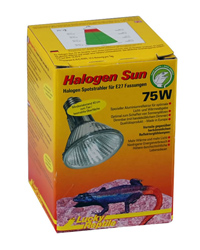 Picture of Lucky Reptile Halogen Sun Spot 75W