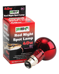 Picture of ProRep Red Night Spot Lamp 40W Bayonet