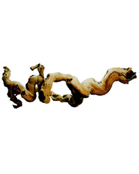 Click to Enlarge Picture of Lucky Reptile Premium Grapevine Medium