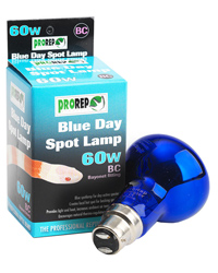 Click to Enlarge Picture of ProRep Blue Day Spot Lamp 60W Bayonet