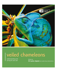 Picture of Pet Expert Veiled Chameleons 