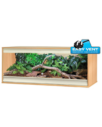 Click to Enlarge Picture of Vivexotic Viva plus Terrestrial Large Beech