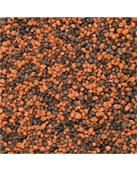 Picture of Hugo Autumn Mix  2-4Mm 2Kg